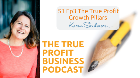The True Profit Growth Pillars [Podcast S1 Ep3]