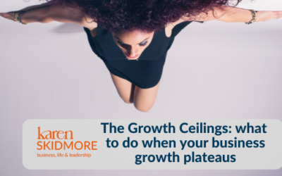 The Growth Ceilings: what to do when your business growth plateaus