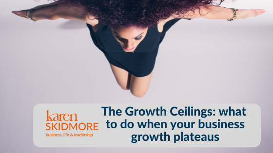 The Growth Ceilings: what to do when your business growth plateaus